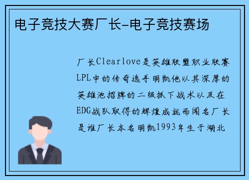电子竞技大赛厂长-电子竞技赛场